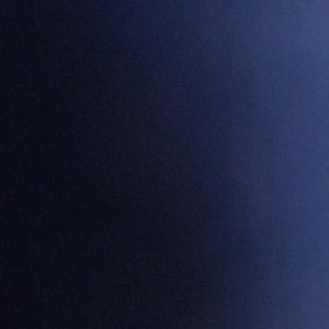 Meet your Posher, Cheyenne